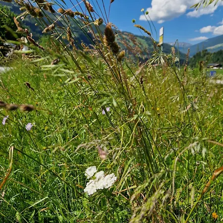 Landhaus Schiestl Ramsau im Zillertal Exterior photo